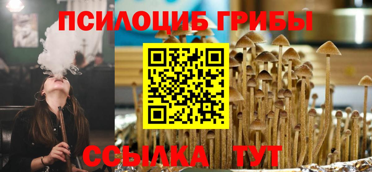 где можно купить наркотик  Вход с VPN  Зеленодольск  Галлюциногенные грибы Psilocybe 